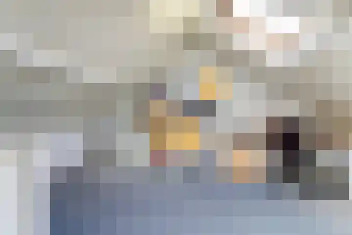 Kievitstraat 10 Reusel thumbnail 28