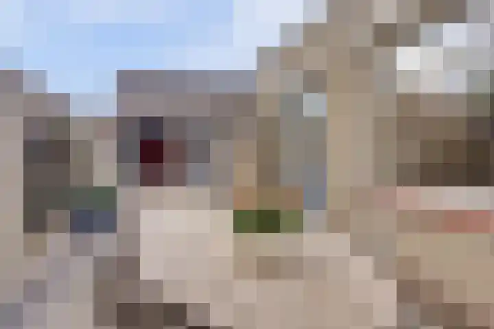 Kievitstraat 10 Reusel thumbnail 29