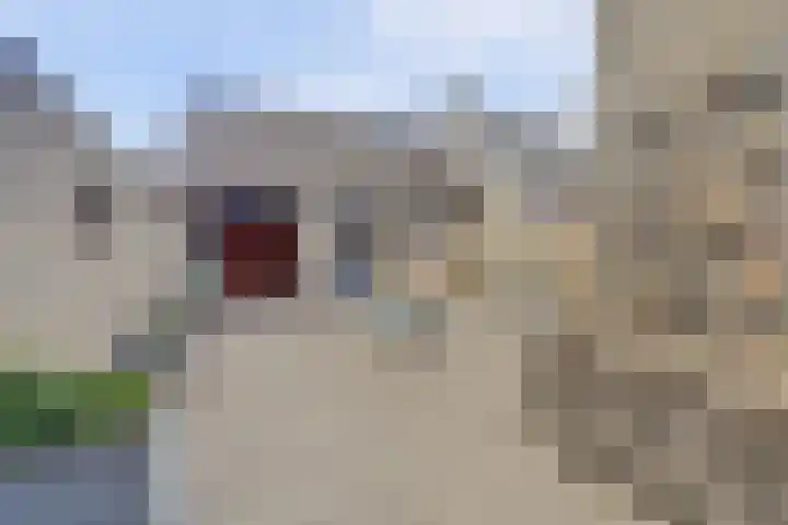 Kievitstraat 10 Reusel thumbnail 31