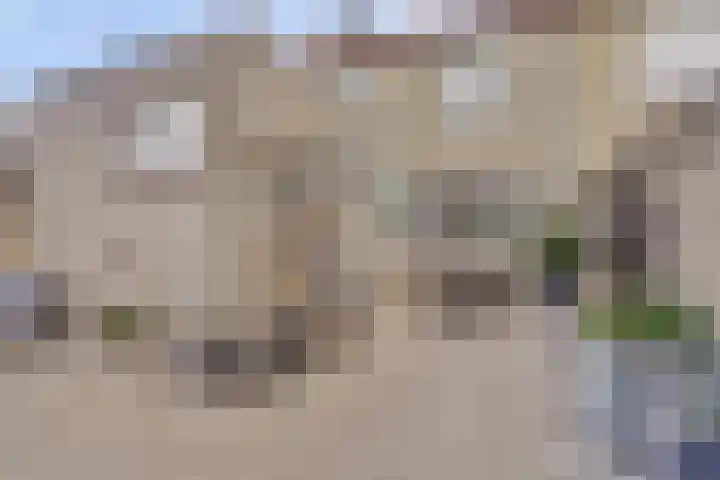 Kievitstraat 10 Reusel thumbnail 32