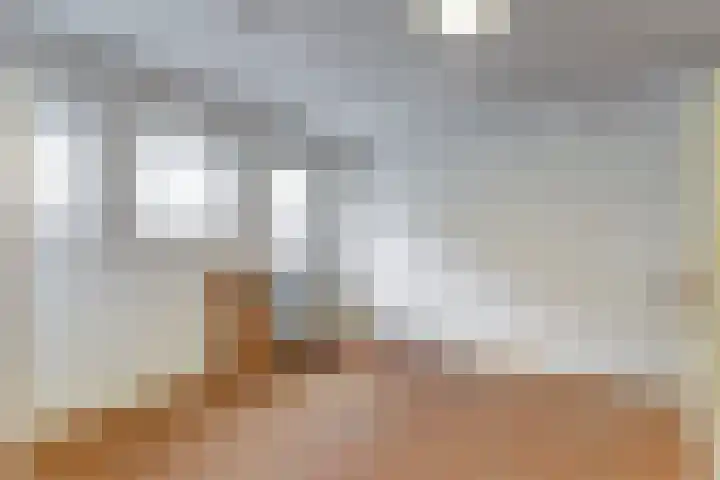 Kievitstraat 10 Reusel thumbnail 34