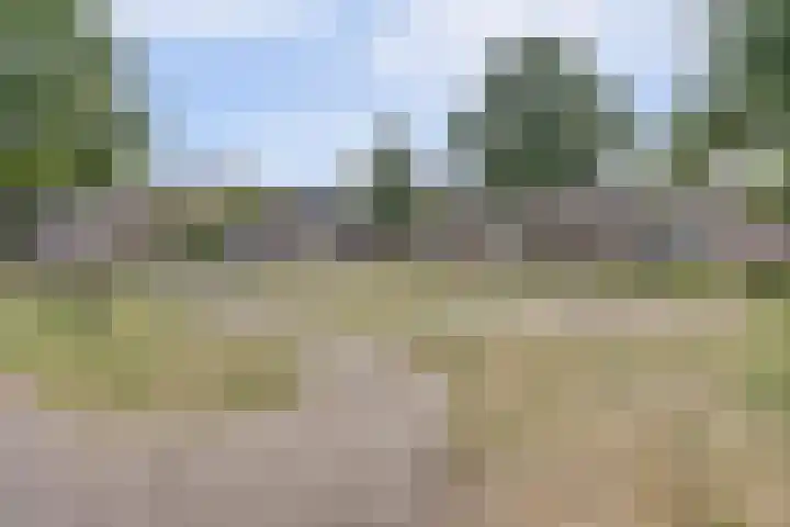Kievitstraat 10 Reusel thumbnail 38