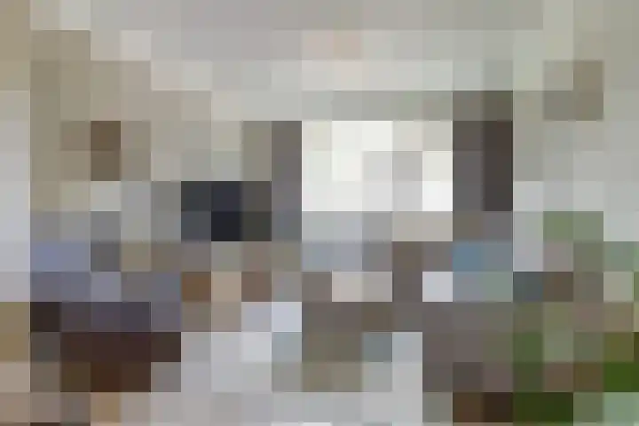 Kievitstraat 10 Reusel thumbnail 5