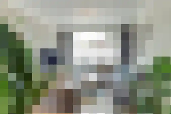 Kievitstraat 10 Reusel thumbnail 6