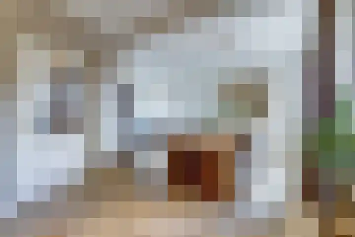 Kievitstraat 10 Reusel thumbnail 8
