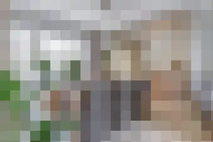Kievitstraat 10 Reusel thumbnail 9
