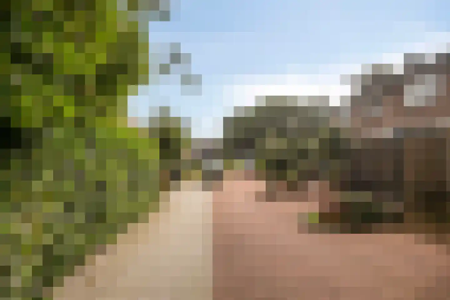 Kievitstraat 10 Vianen thumbnail 33