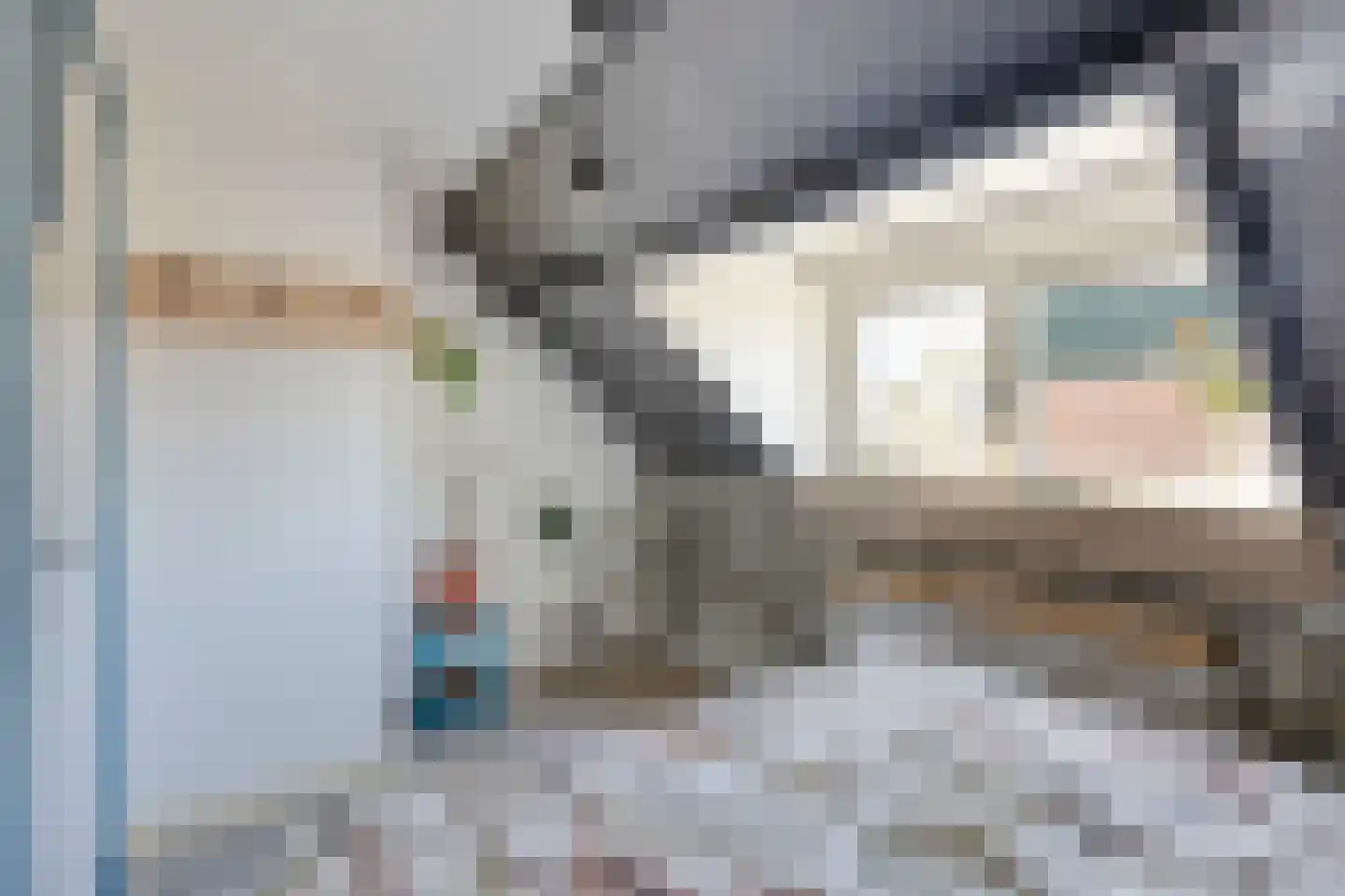 Kievitstraat 11 Alkmaar thumbnail 28