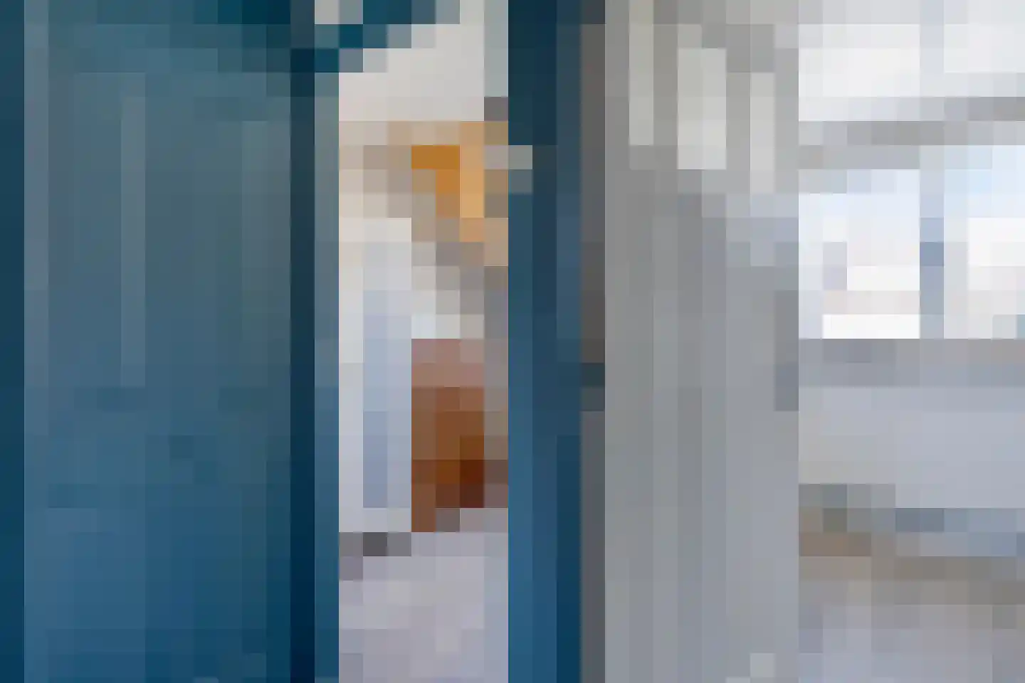 Kievitstraat 11 Alkmaar thumbnail 31
