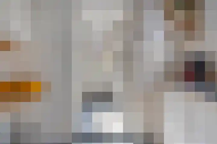 Kievitstraat 11 Goor thumbnail 10