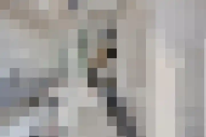 Kievitstraat 11 Goor thumbnail 12