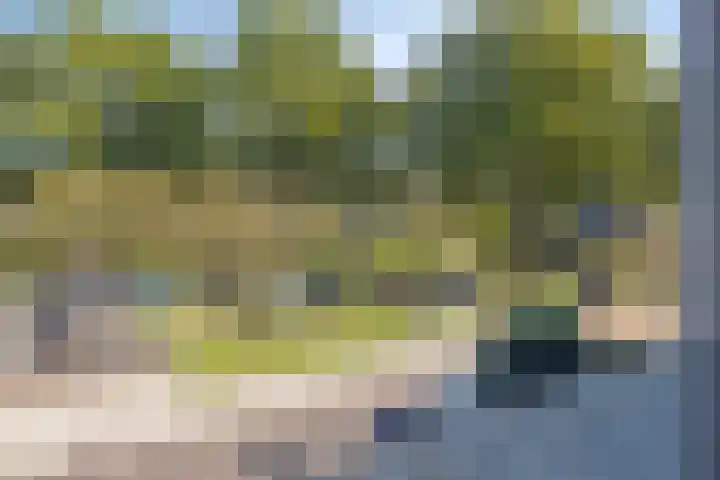 Kievitstraat 11 Goor thumbnail 24