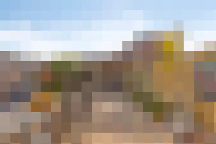 Kievitstraat 11 Goor thumbnail 25