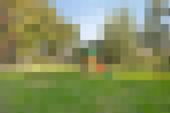 Kievitstraat 11 Goor thumbnail 30