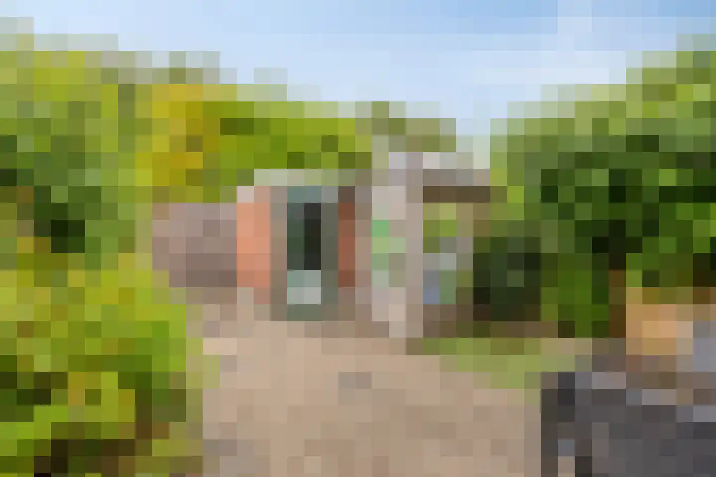Kievitstraat 11 Honselersdijk thumbnail 25