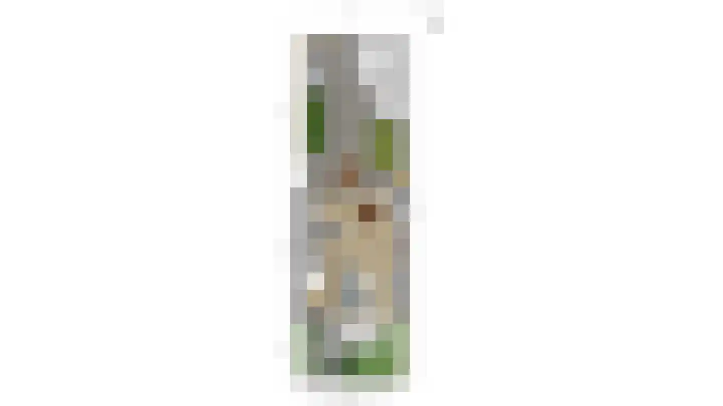Kievitstraat 11 Honselersdijk thumbnail 34