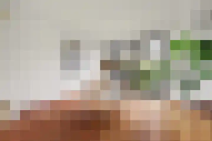 Kievitstraat 11 Velp thumbnail 15