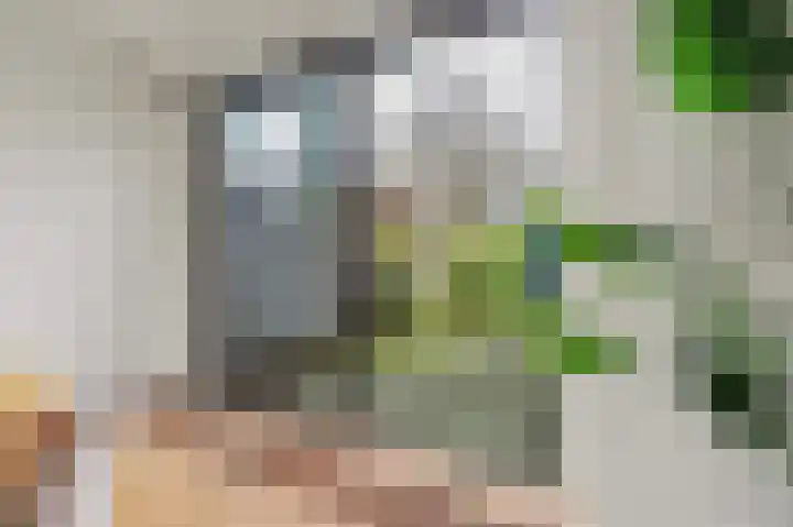Kievitstraat 11 Velp thumbnail 18