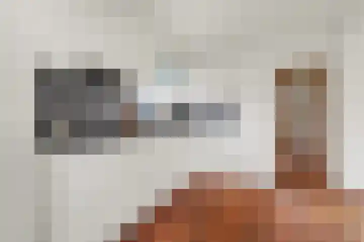 Kievitstraat 11 Velp thumbnail 22