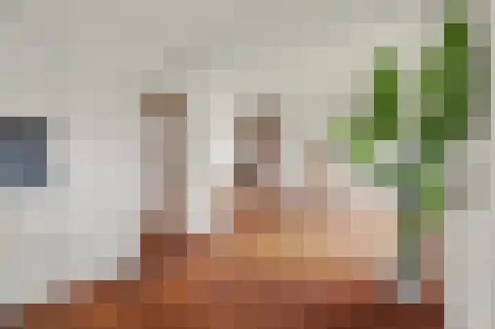 Kievitstraat 11 Velp thumbnail 23