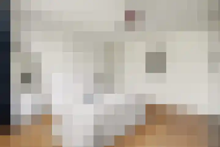 Kievitstraat 11 Velp thumbnail 30