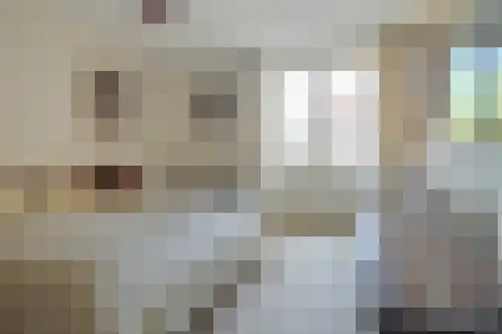 Kievitstraat 11 Velp thumbnail 40