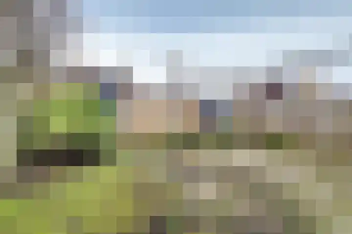Kievitstraat 11 Velp thumbnail 44