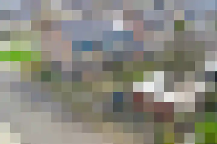 Kievitstraat 11 Velp thumbnail 50