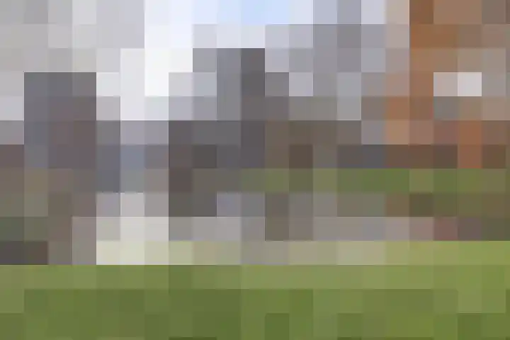 Kievitstraat 11 Velp thumbnail 57