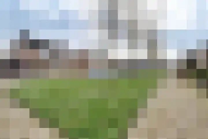 Kievitstraat 11 Velp thumbnail 62