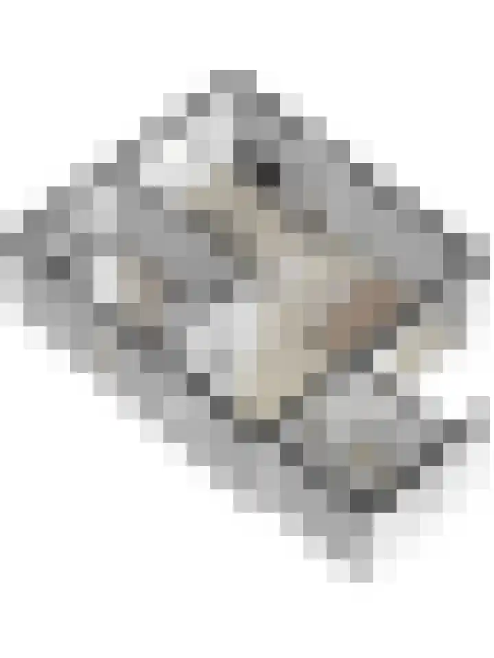 Kievitstraat 11 Velp thumbnail 64