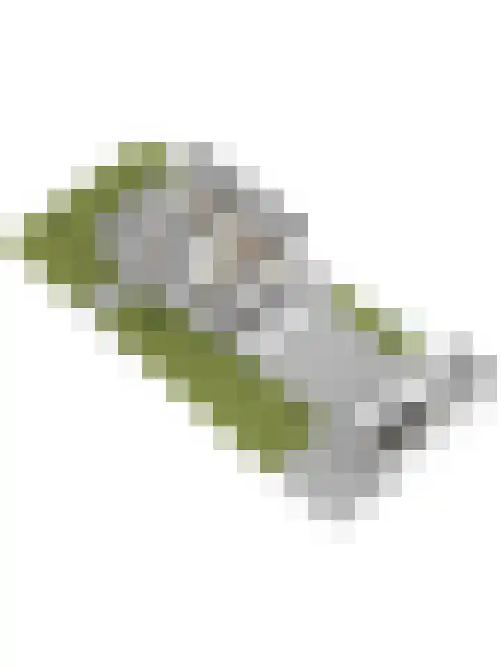 Kievitstraat 11 Velp thumbnail 70