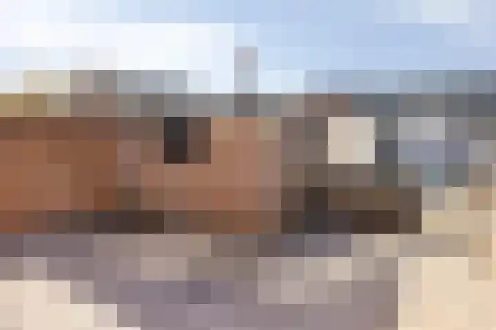 Kievitstraat 111 Kampen thumbnail 20