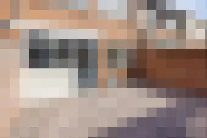 Kievitstraat 111 Kampen thumbnail 22