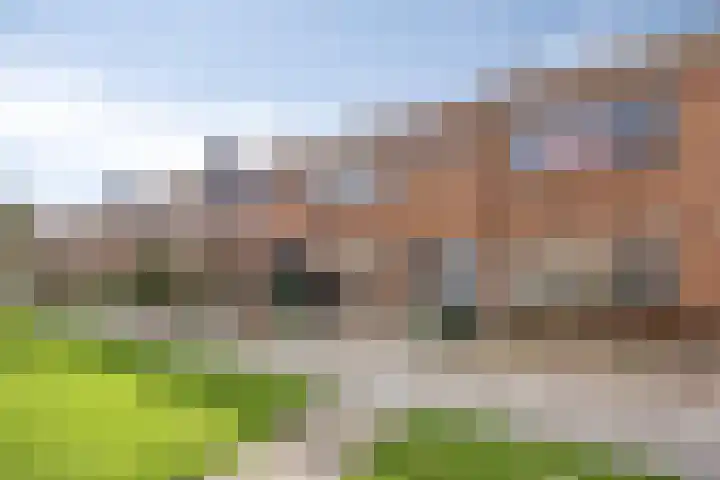 Kievitstraat 111 Kampen thumbnail 24