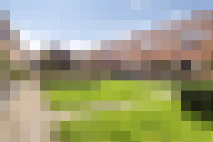 Kievitstraat 111 Kampen thumbnail 25