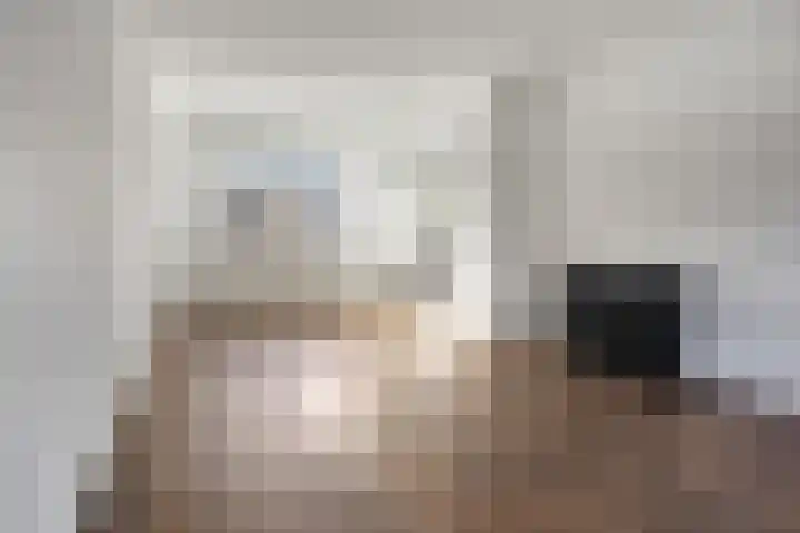 Kievitstraat 111 Kampen thumbnail 4