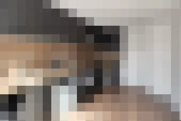 Kievitstraat 111 Kampen thumbnail 8