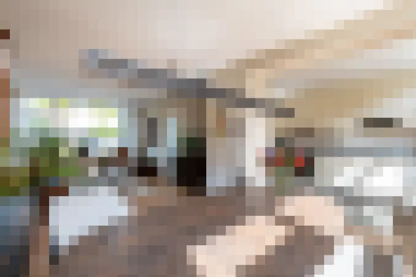 Kievitstraat 119 Ermelo thumbnail 17