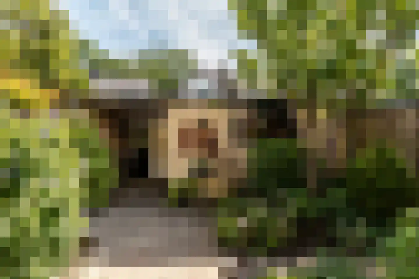 Kievitstraat 119 Ermelo thumbnail 38