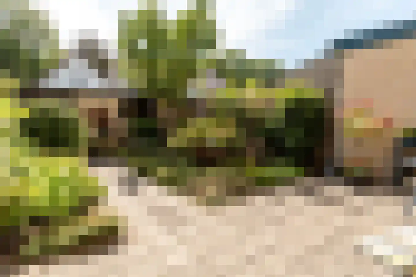 Kievitstraat 119 Ermelo thumbnail 39