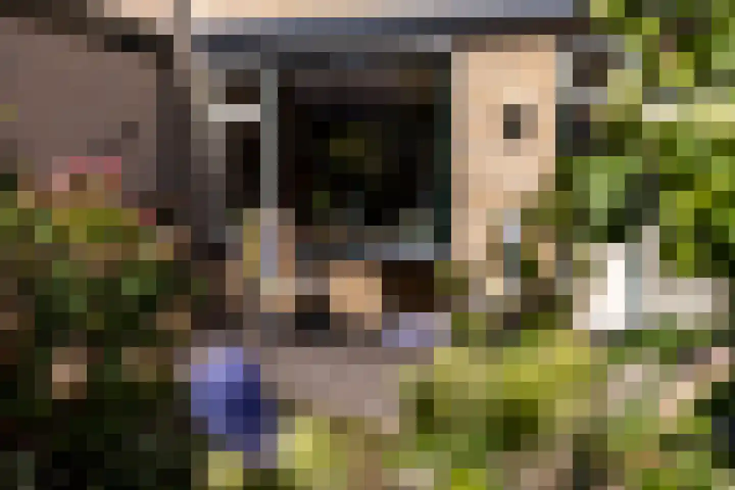 Kievitstraat 119 Ermelo thumbnail 40