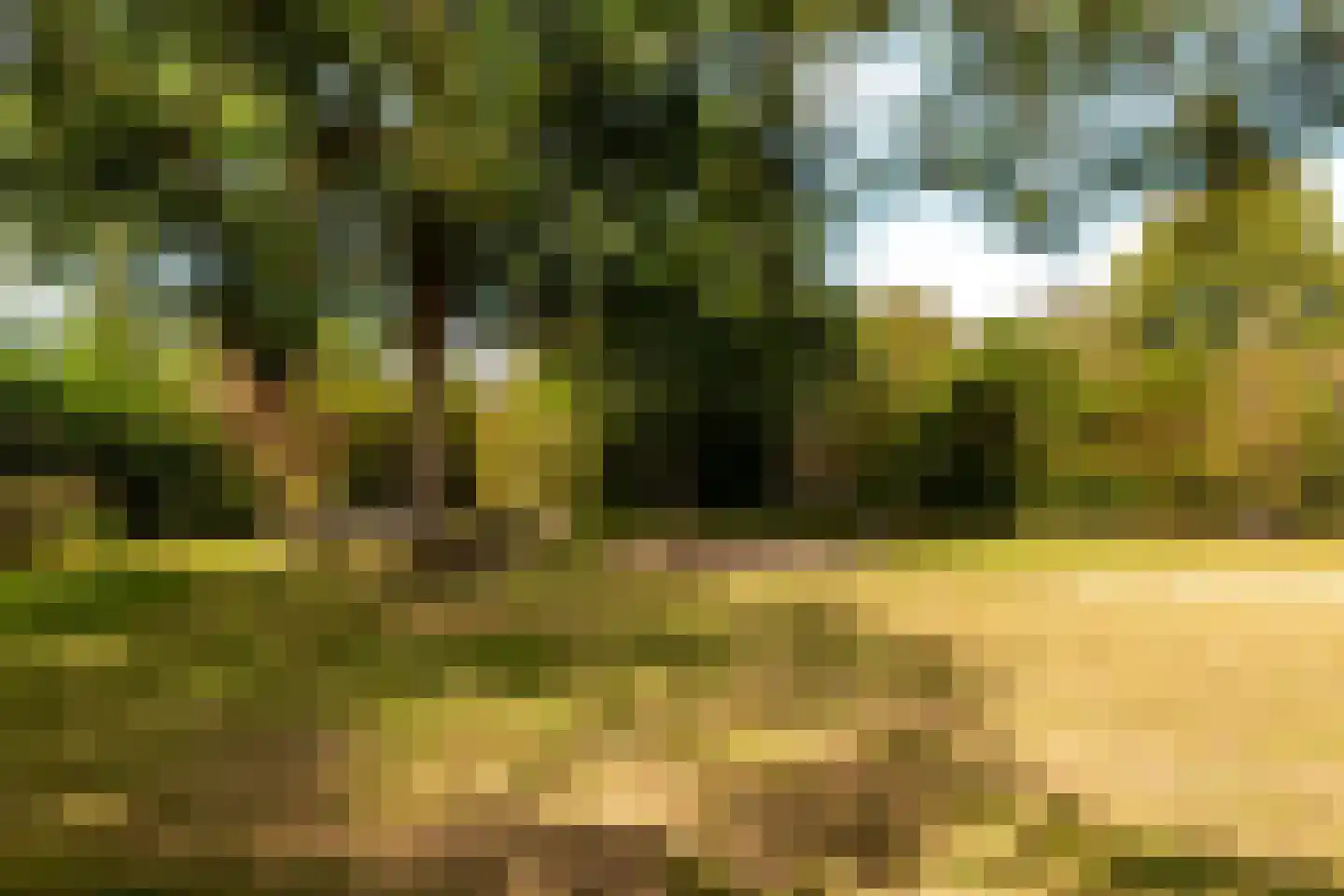 Kievitstraat 119 Ermelo thumbnail 48