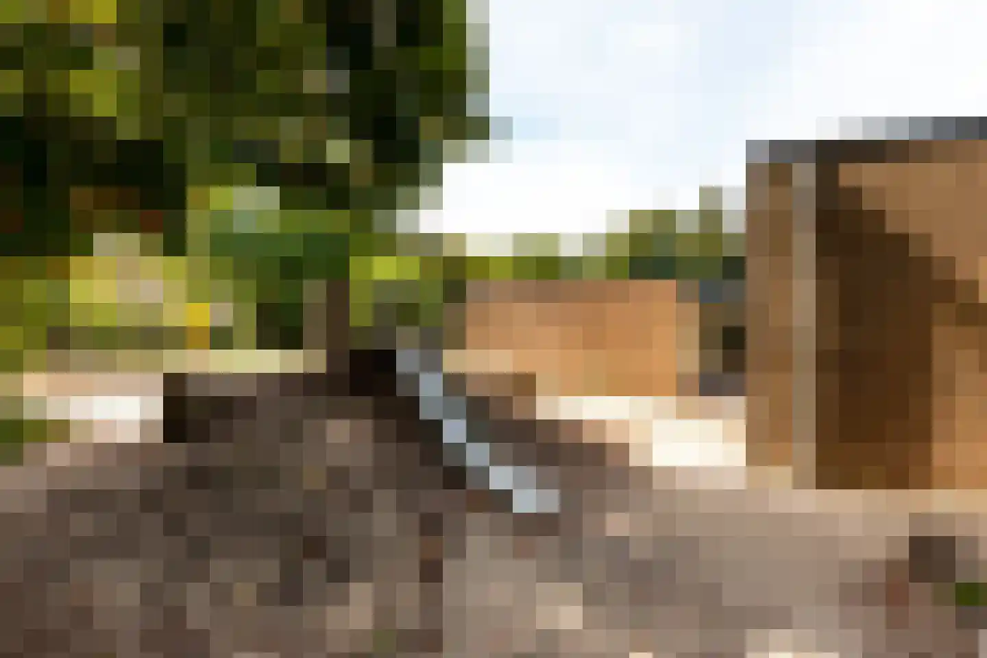 Kievitstraat 119 Ermelo thumbnail 49