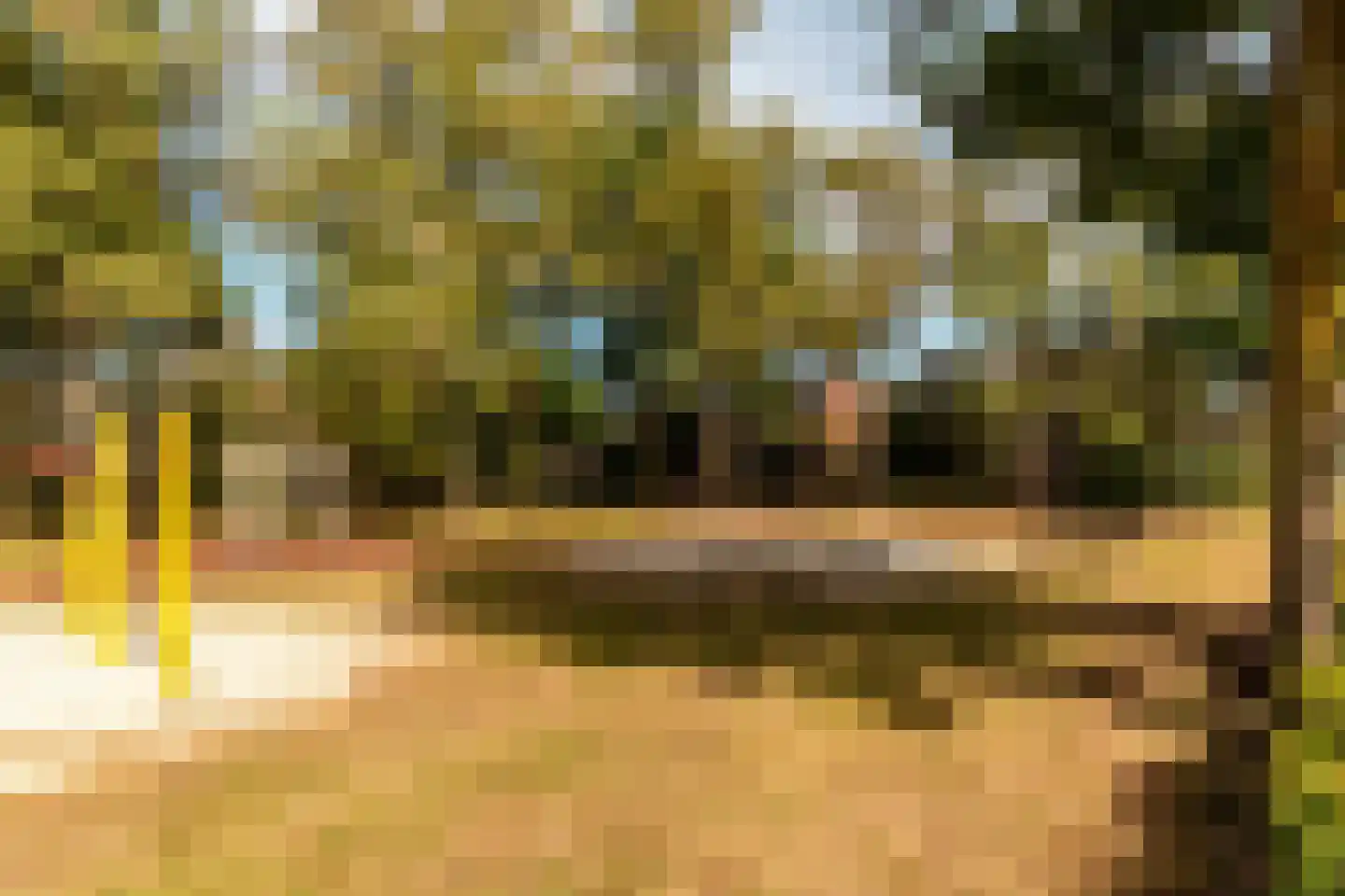 Kievitstraat 119 Ermelo thumbnail 50