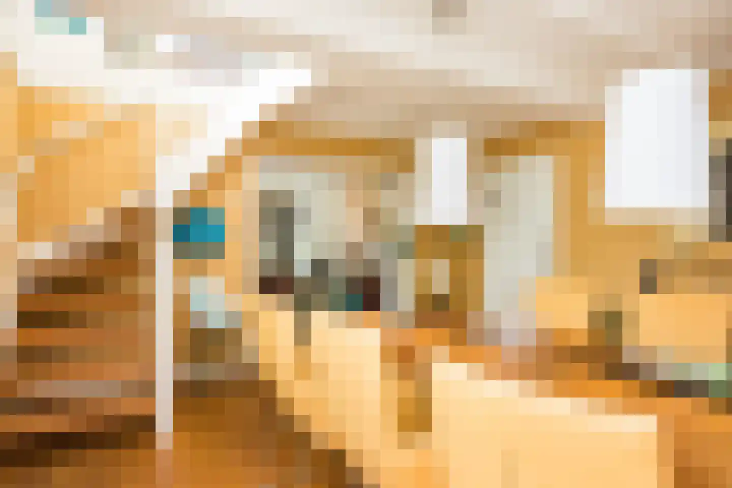 Kievitstraat 12 Delden thumbnail 13
