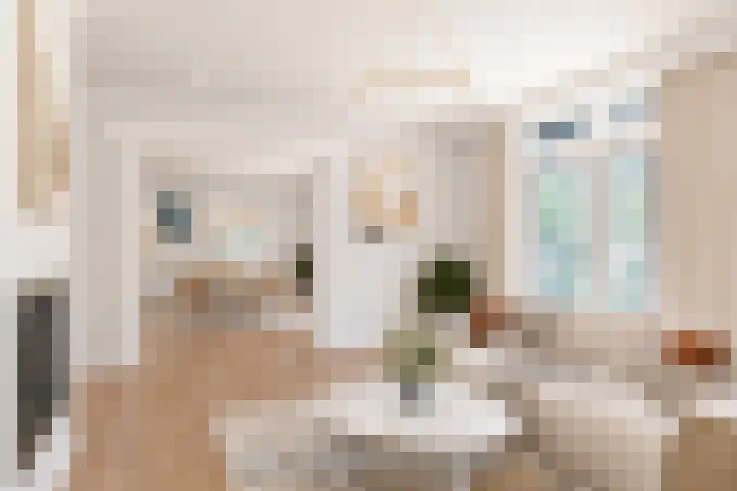 Kievitstraat 12 Delden thumbnail 17
