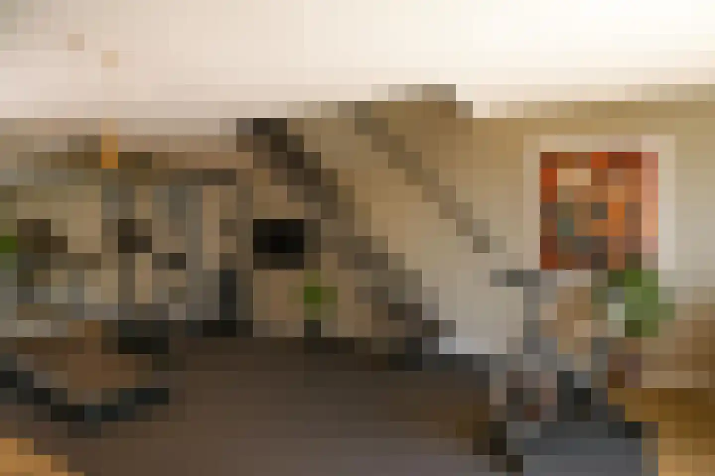 Kievitstraat 12 Delden thumbnail 26