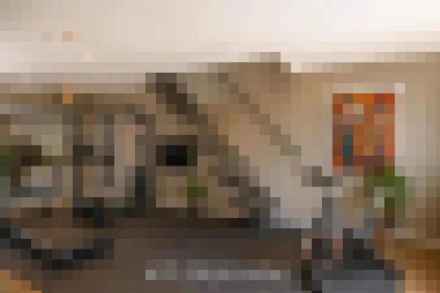 Kievitstraat 12 Delden thumbnail 26