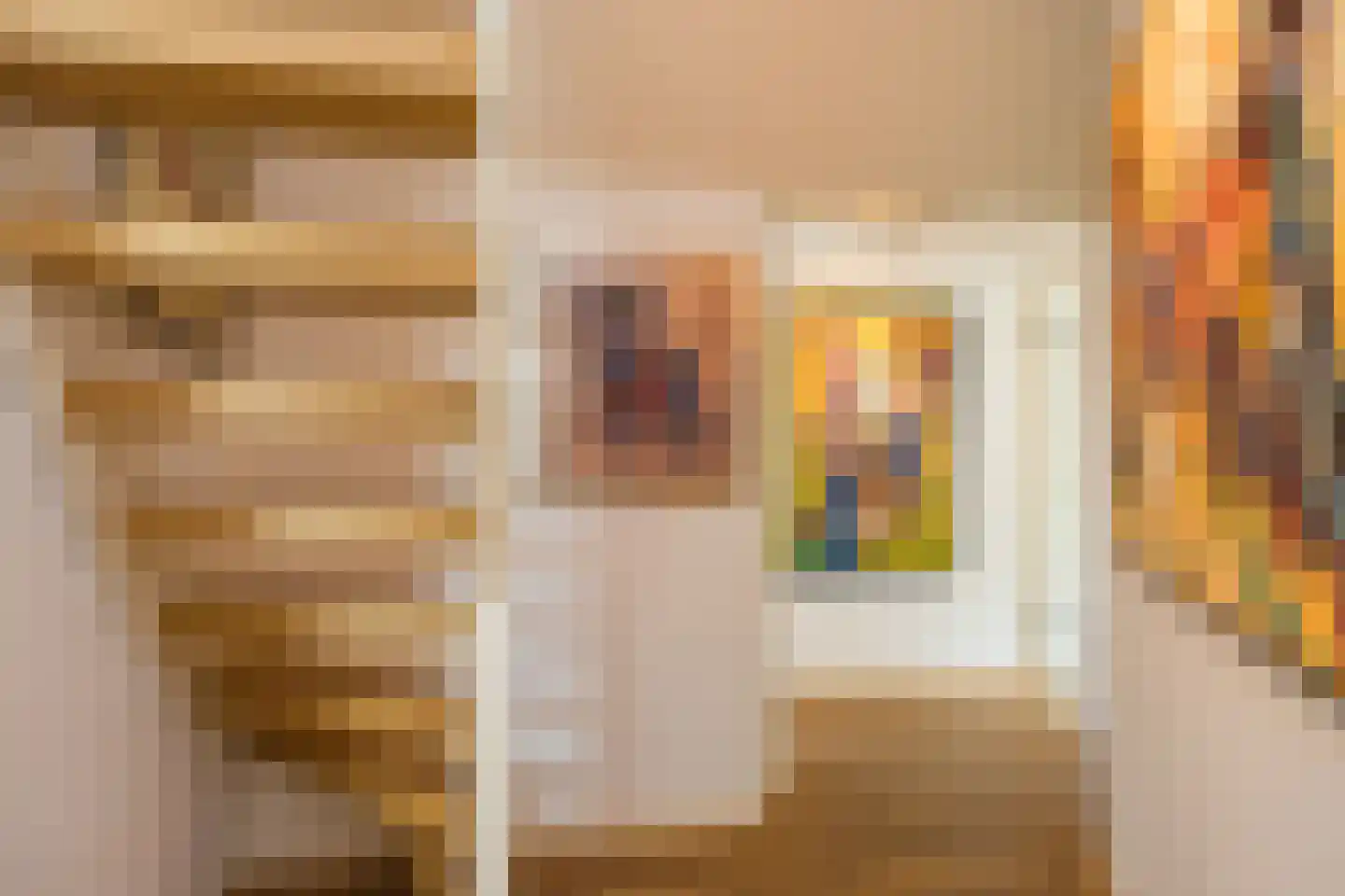 Kievitstraat 12 Delden thumbnail 35